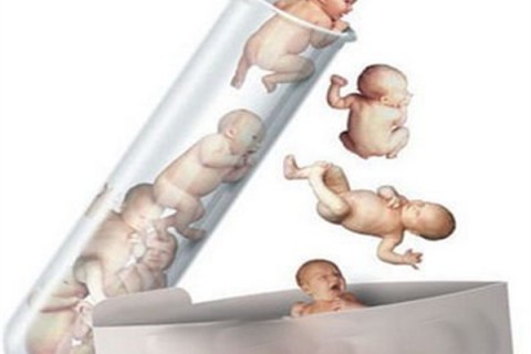 http://wenzhou.dacou.net/post/194.html|温州新闻中心